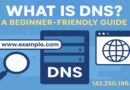 What is DNS? A Beginner-Friendly Guide to How DNS Works